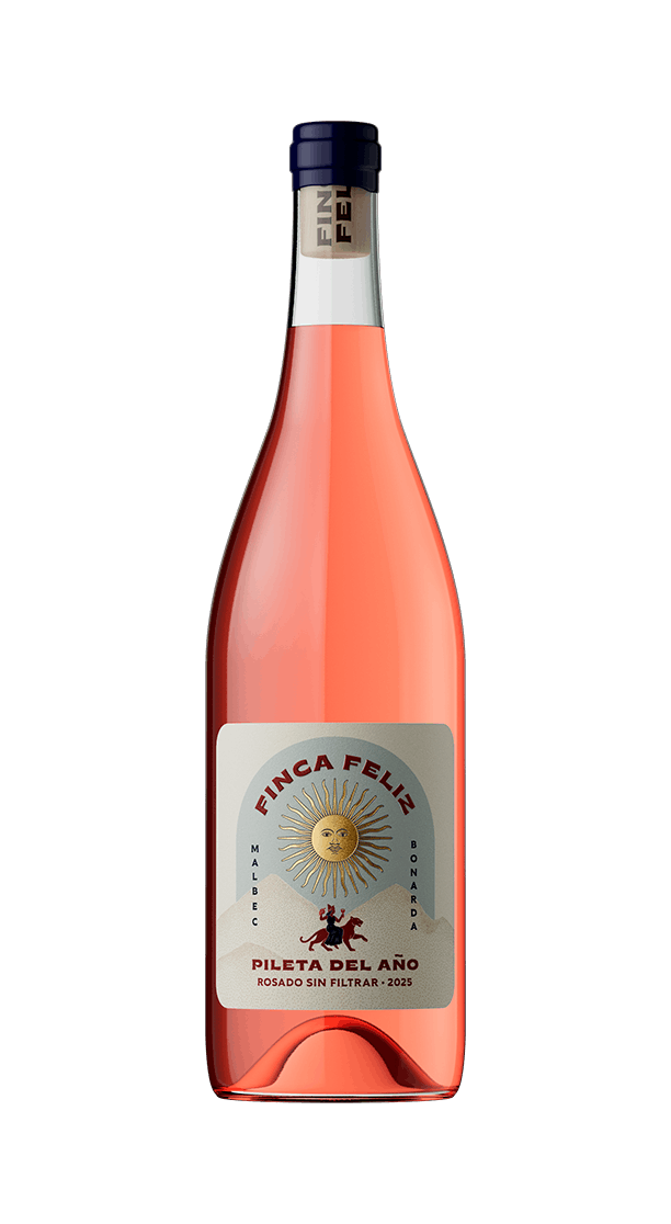 pileta-de-anio-2025-2